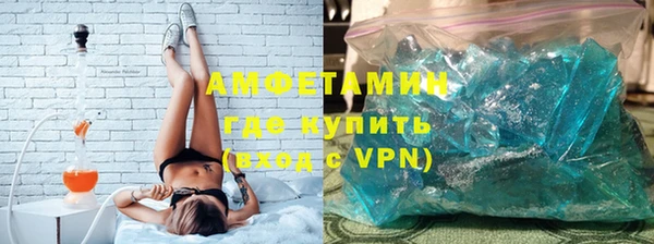 прущие грибы Переславль-Залесский