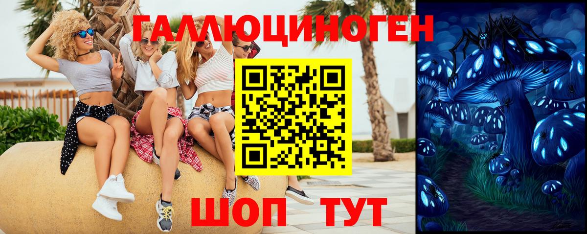 Псилоцибиновые грибы Magic Shrooms  Вход с VPN  Галлюциногенные грибы прущие грибы  Элиста 