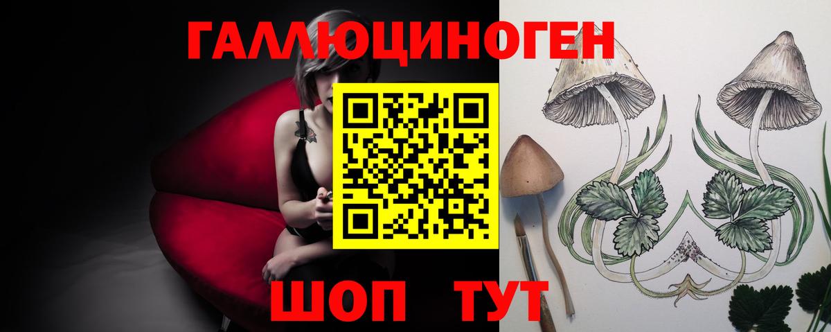 Псилоцибиновые грибы Magic Shrooms Элиста